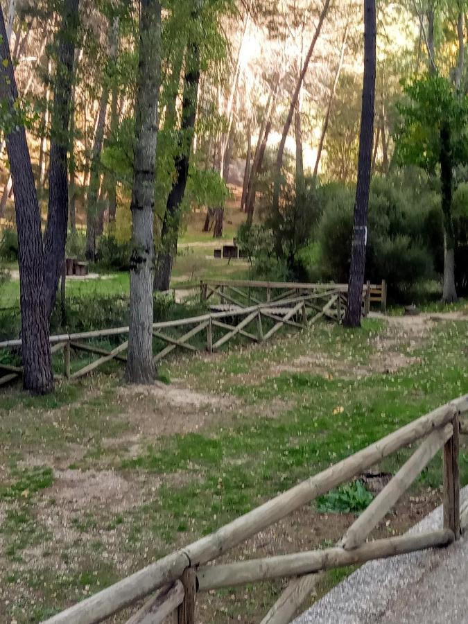 Casa Pinos Country house *